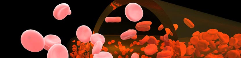 bleodcellen